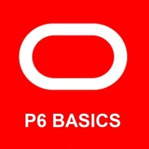 Primavera P6 Basics + Advanced: Virtual | Apr 01-04, 2025