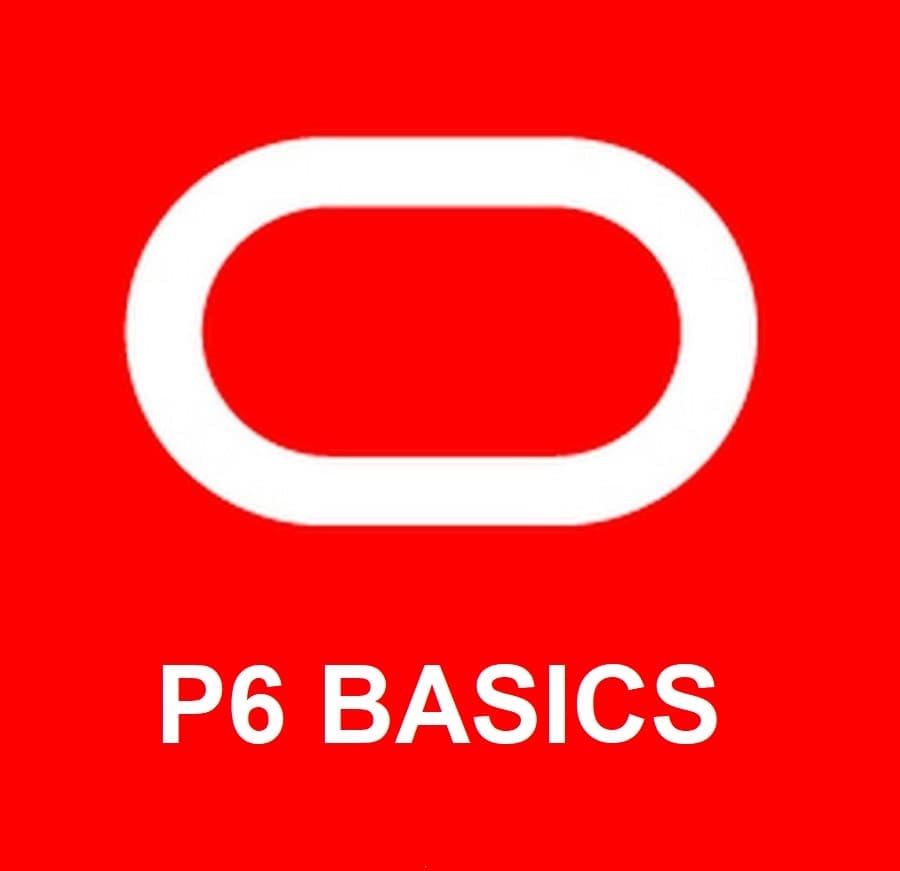 Primavera P6: Basics Level