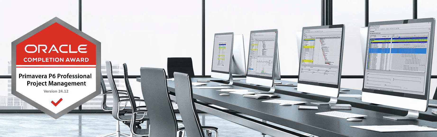 Primavera P6 Training